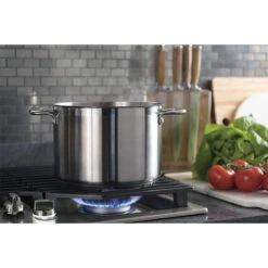 Surface De Cuisson Au Gaz GE Profile, 5 Brûleurs, 36 Po, 18 000 BTU, Acier Inoxydable -Appareils Électroménagers 23085575c L