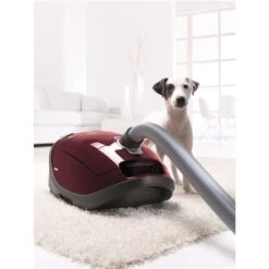 Aspirateur à Cartouche Complete C3 Cat & Dog De Miele 7 Aspirateur à Cartouche Complete C3 Cat & Dog De Miele -Appareils Électroménagers 330838093 AlternateImage2 l