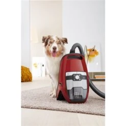Aspirateur Blizzard CX1 Cat & Dog De Miele -Appareils Électroménagers 330838094 AlternateImage2 l